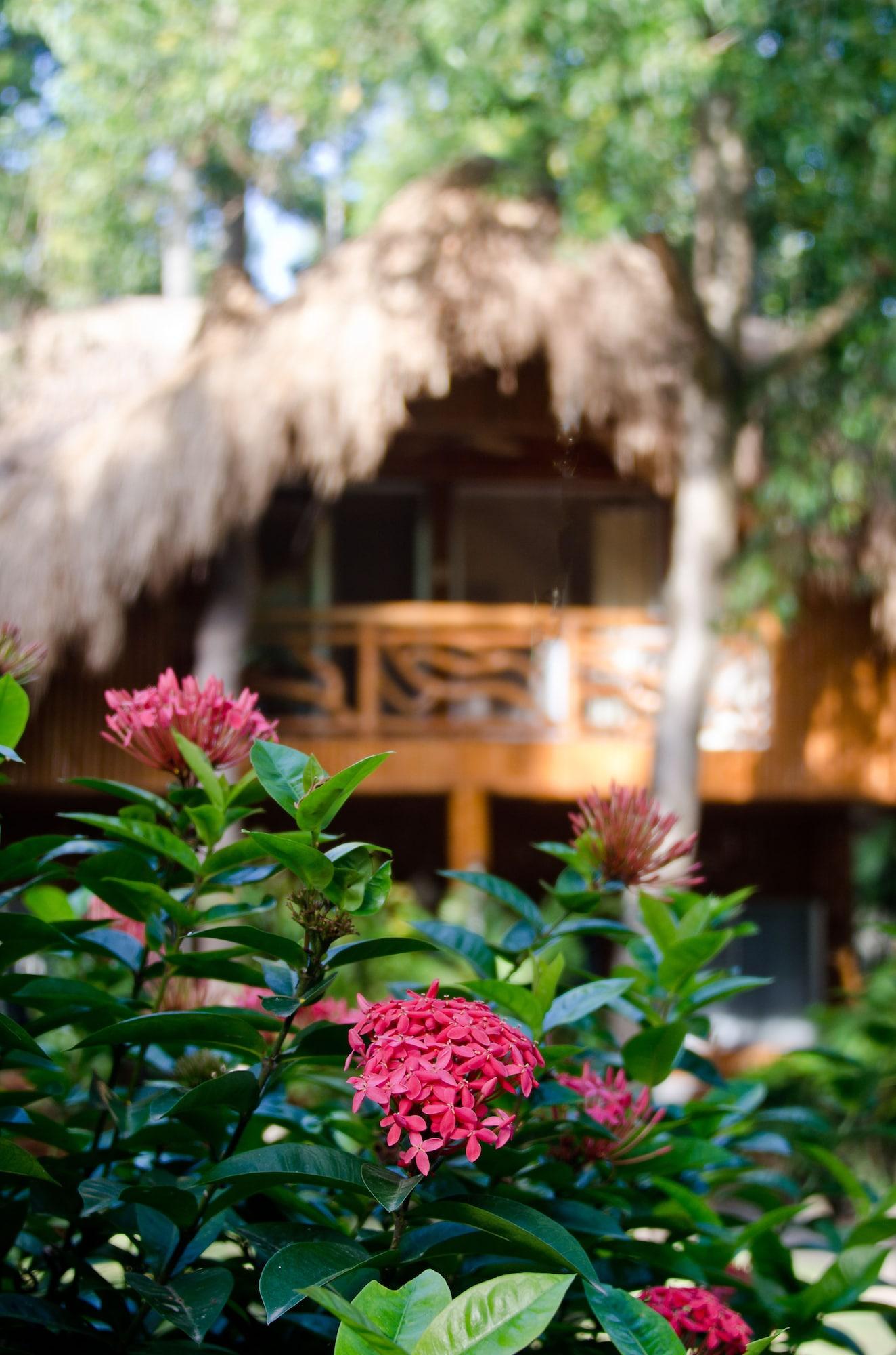 Mike'S Dauin Dive Resort Exterior foto